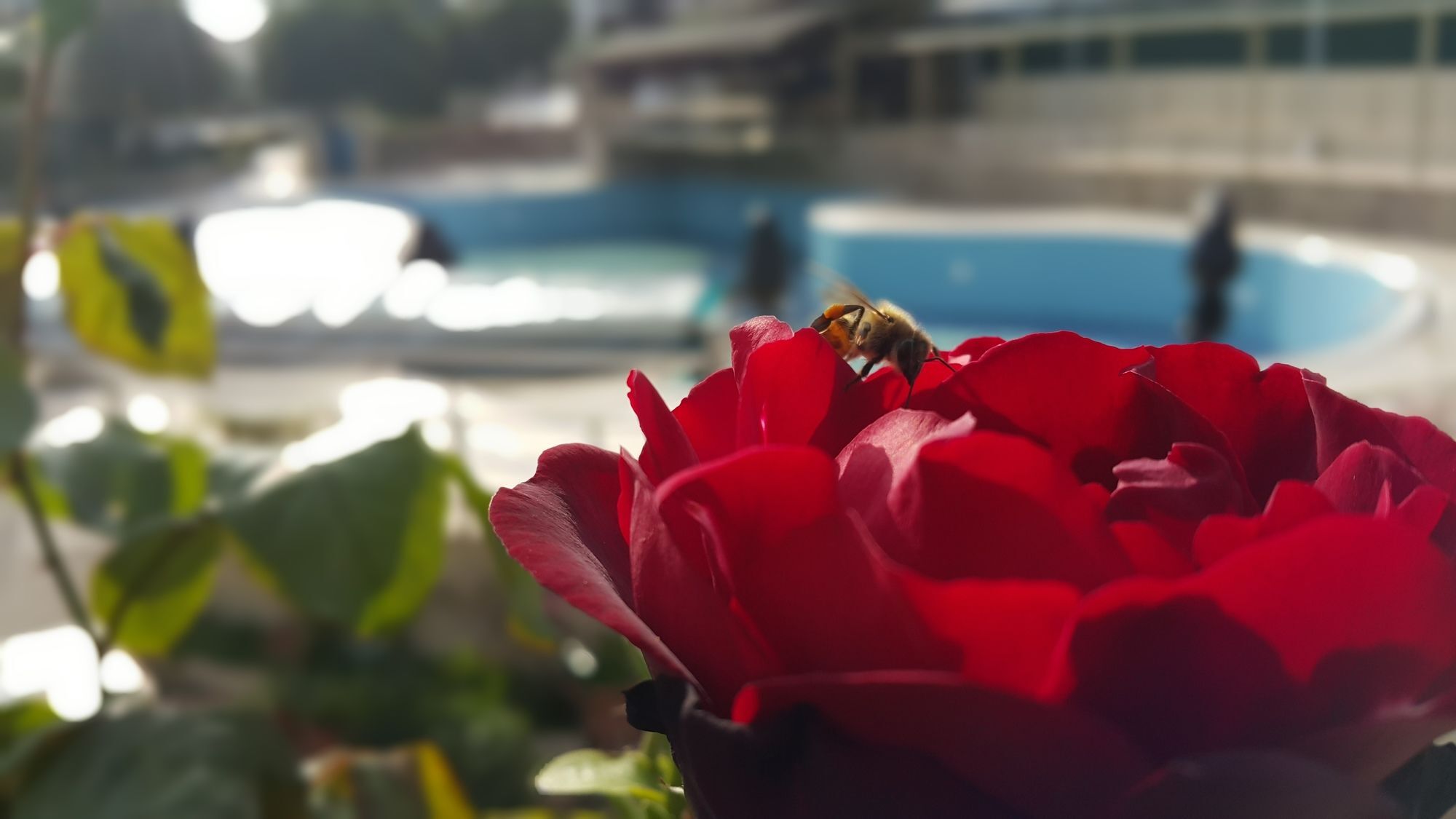 Tu Casa Gelidonya Hotel كمر المظهر الخارجي الصورة